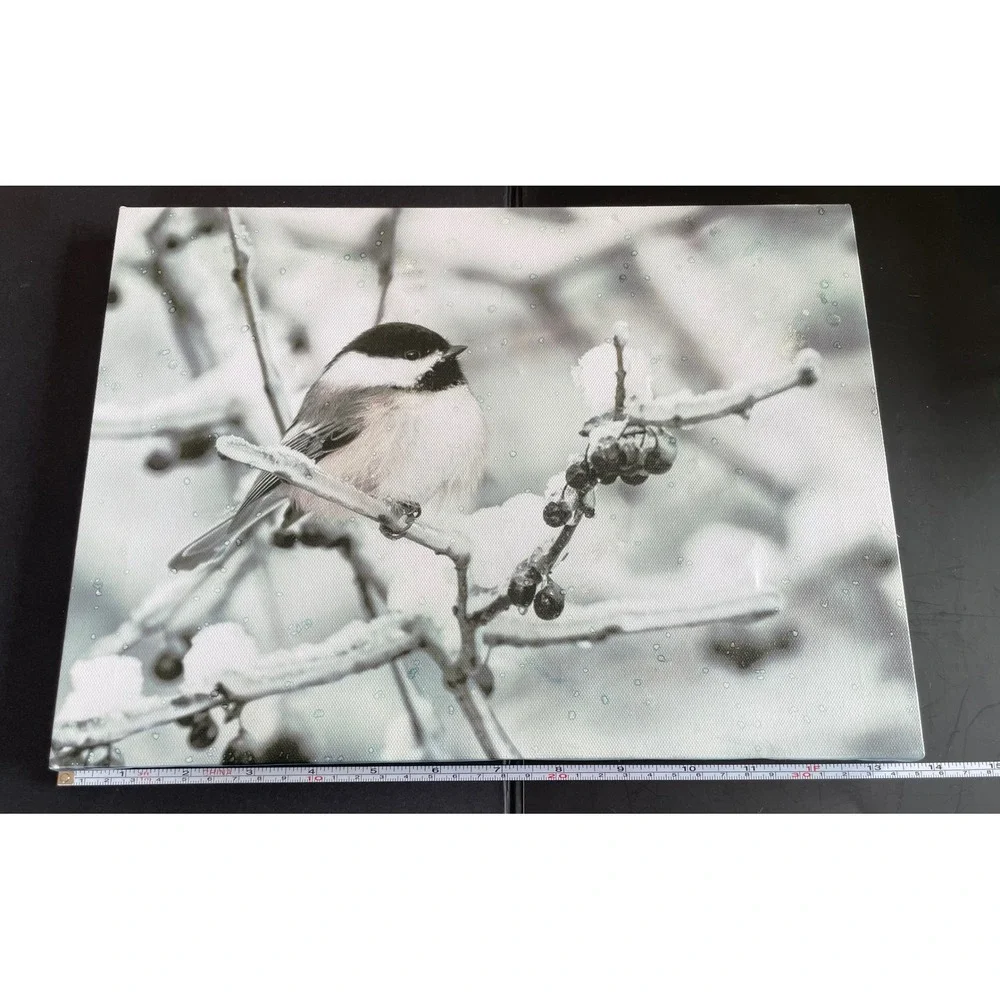Chickadee Light Up Winter Canvas Wall Art Timer‎ Holiday Christmas